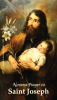 *LARGE* St. Joseph Novena Prayer Card